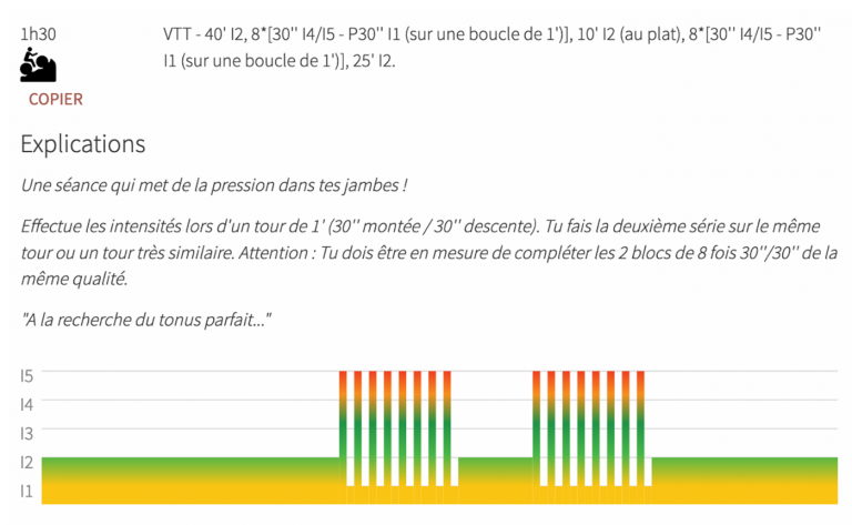 Performance Athl Tique Bases M Thodes Planification Un