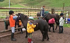 Dei bambini danno da mangiare ai cavalli.