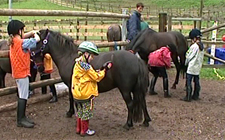 Kinder in einem Reithof am Vorbereiten von Ponys.