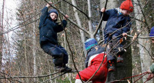 Kinder klettern auf einem Baum