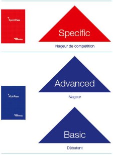 Graphique: Structure de la formation Swiss Swimming