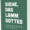 Siehe, das Lamm Gottes – Bild 2