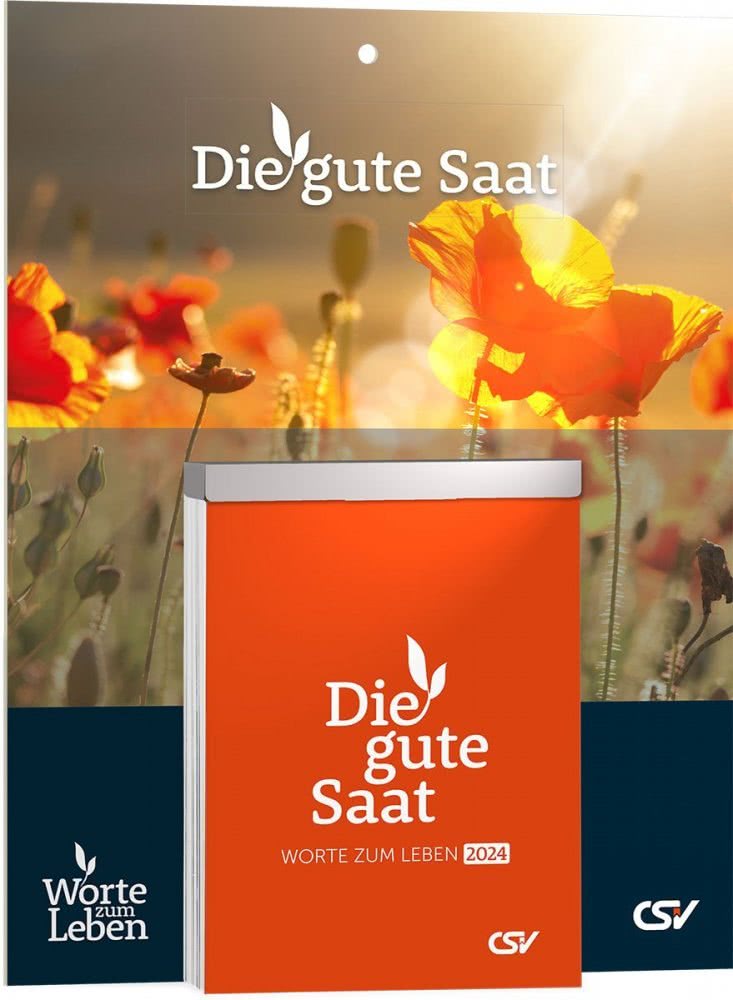 Gottes Wort für jeden Tag 2024 Abreisskalender