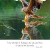 Natur 2025 Foto-Kalender – Bild 10