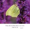 Natur 2025 Foto-Kalender – Bild 9