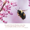 Natur 2025 Foto-Kalender – Bild 5