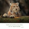 Natur 2025 Foto-Kalender – Bild 4