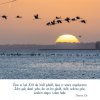 Natur 2025 Foto-Kalender – Bild 3