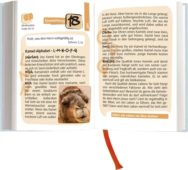 Der Kompass 2026 Buchkalender – Bild 4