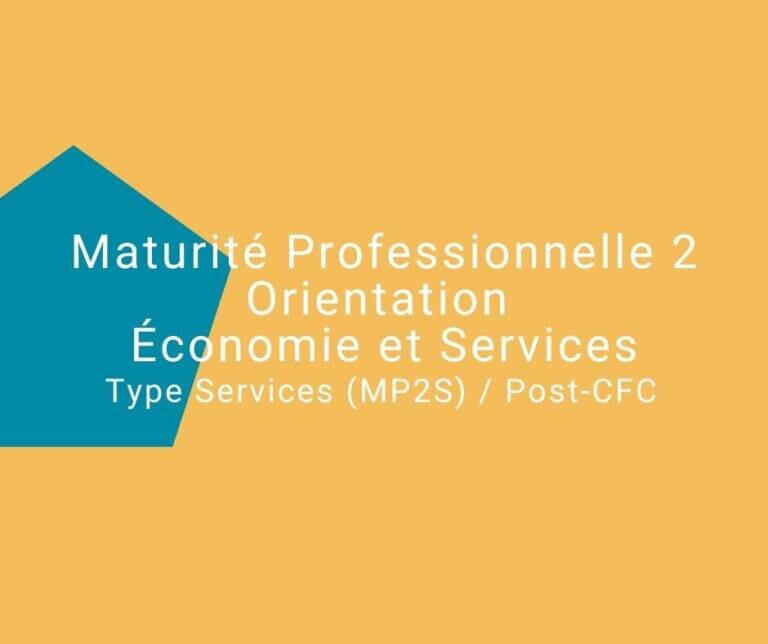 Maturité Professionnelle 2 Orientation Économie Et Services Type