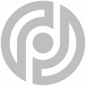 Logo: Datenschutzpartner (Silber)