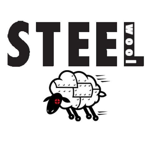 Steel Wool Entertainment