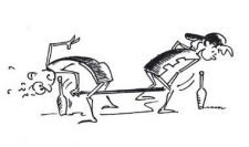 Petits agrès – Massues: Billard spécial