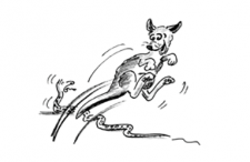 Jeux de mouvement en musique – Coordination: Ménagerie