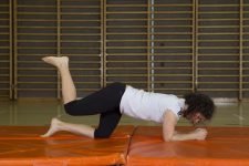 Force: Muscles fessiers