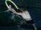 Fitness in acqua – Resistenza (acqua non profonda): Tocco paralizzante