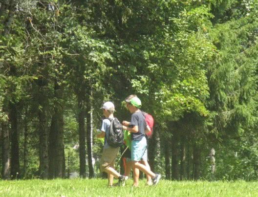 Des enfants marchent en bordure de forêt.
