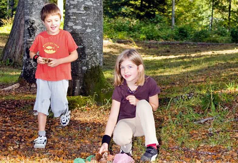 Due bambini mentre raccolgono delle pigne nel bosco