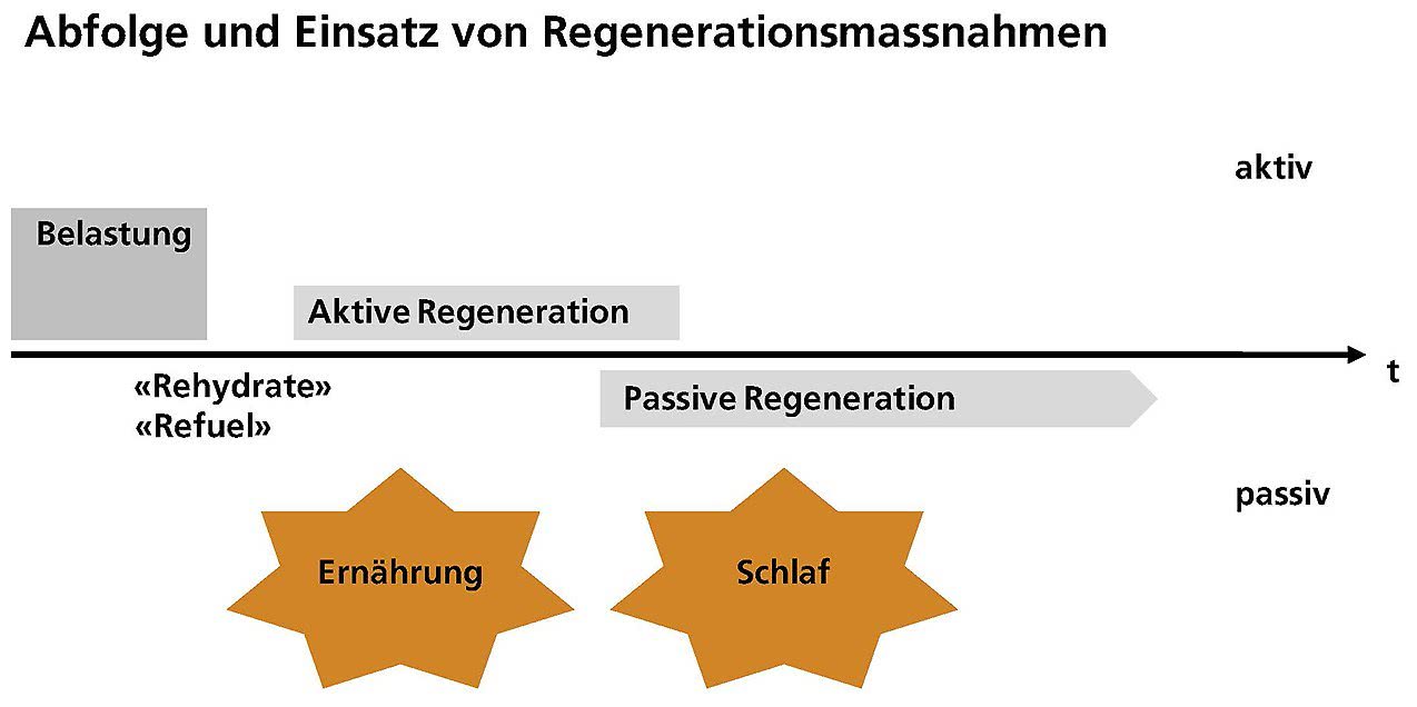 Grafik Einsatz und Abfolge Regenerationsmassnahmen.