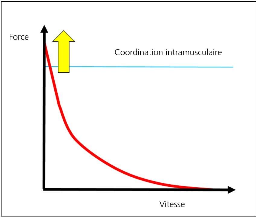 Grafique: Etape 1, Méthode: Coordination intramusculaire (90%-100%)