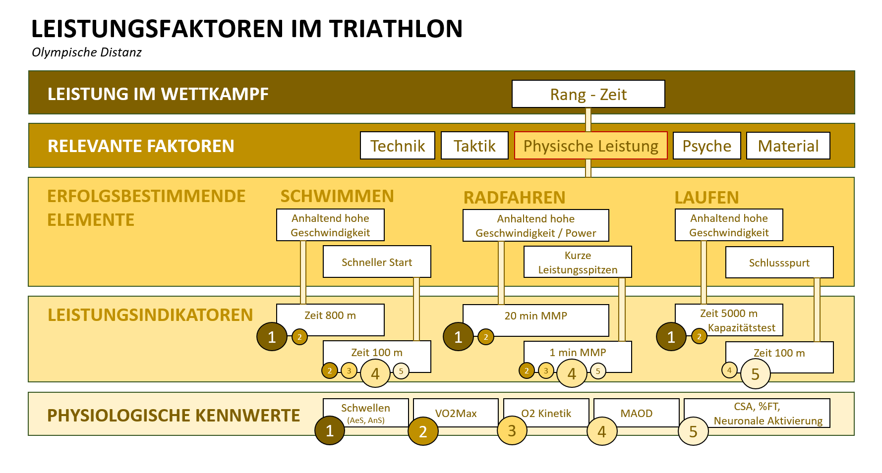 Grafik: Details der Leistungsfaktoren im Triathlon für die Olympische Distanz.