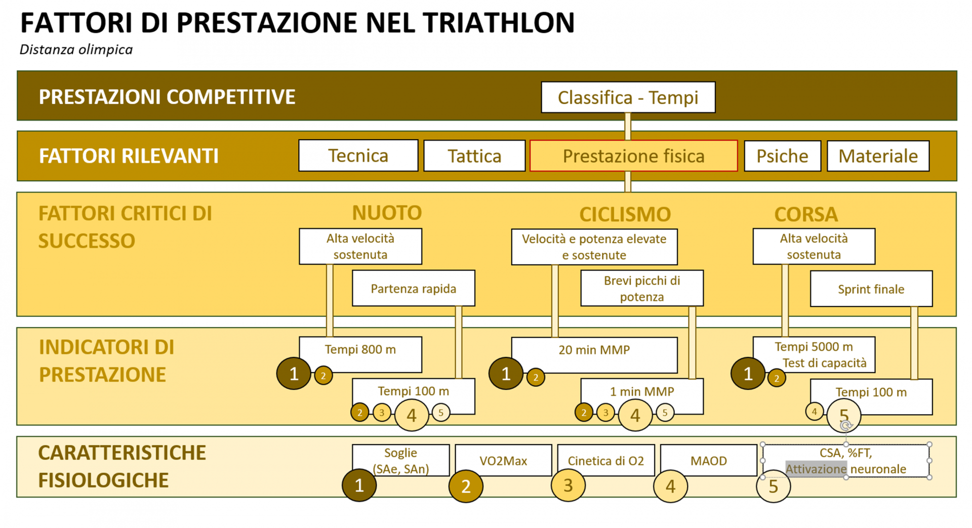 Grafico: i diversi fattori della prestazione nel triathlon
