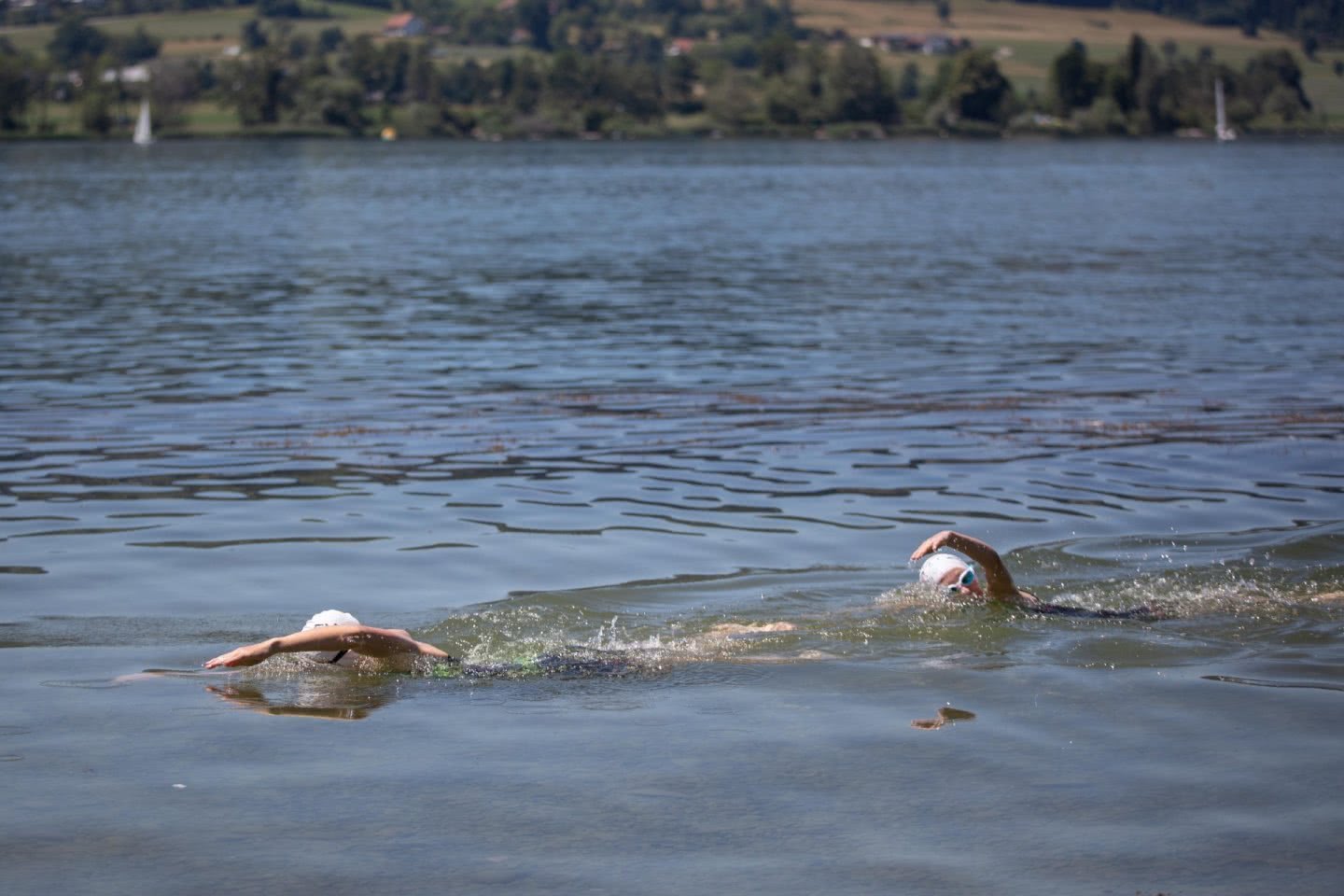Deux athlètes nagent dans un lac.