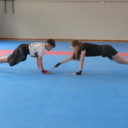 Light contact boxing: Lotta tra lucertole
