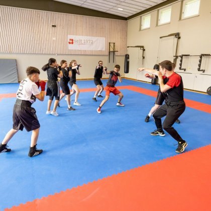 Light contact boxing: Coreografia della stagione