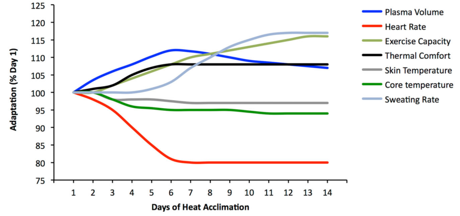 L'acclimatation à la chaleur est relativement rapide et la capacité de performance augmente prestement.