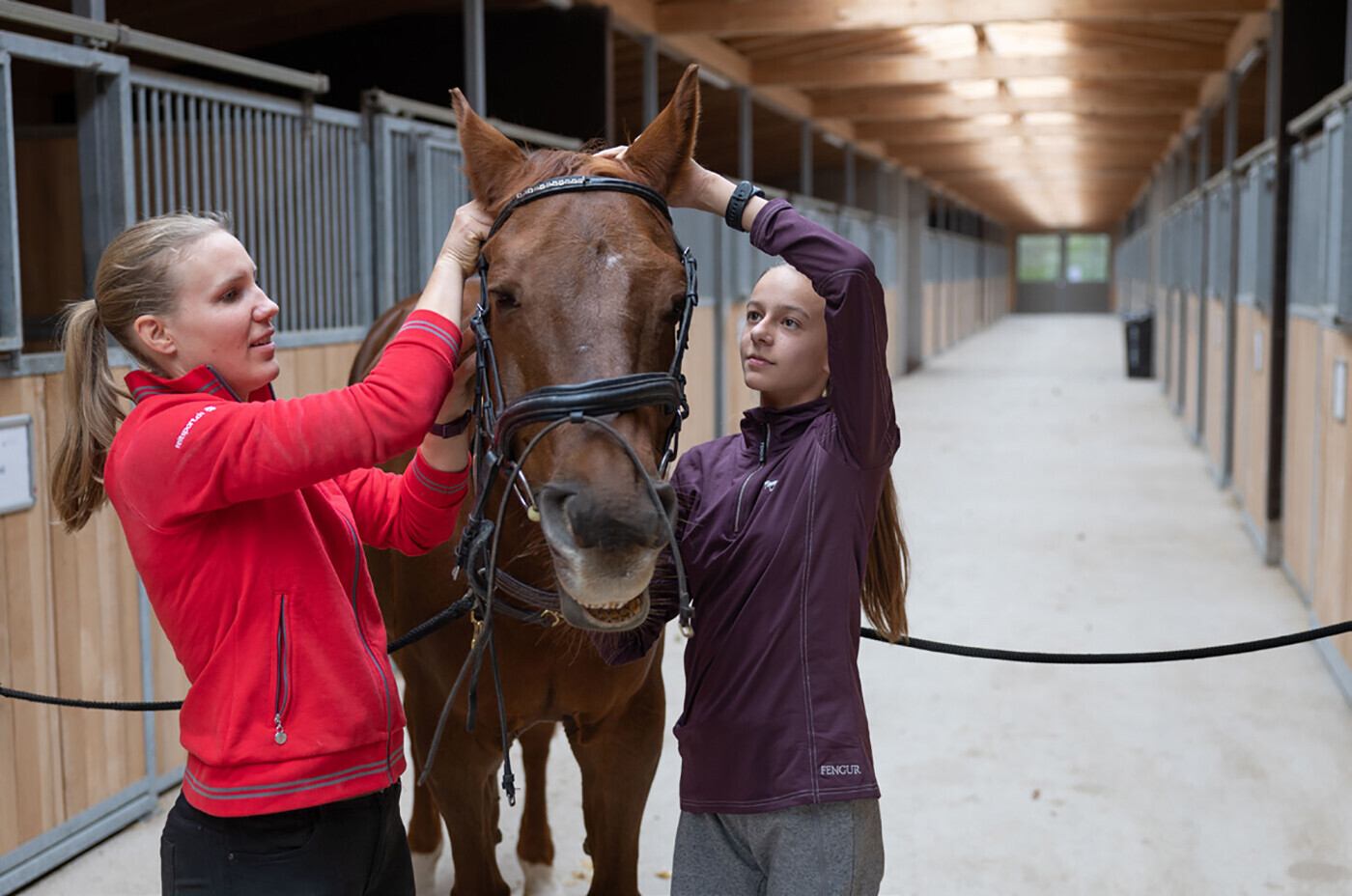 Voltige – Formes d’entraînement pour les formes caractéristiques: S’échauffer et échauffer le cheval de manière efficace et adaptée