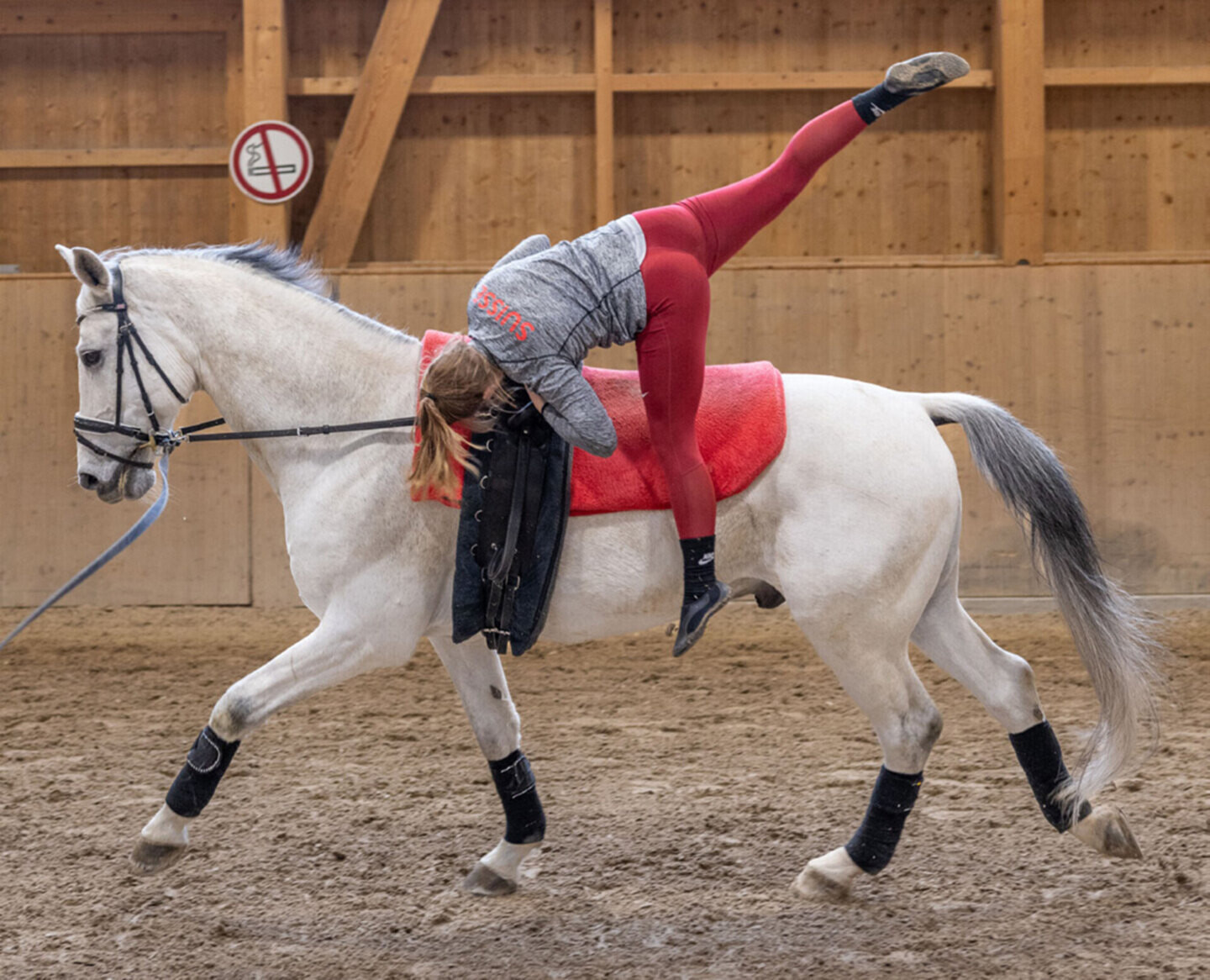 Voltige – Formes d’entraînement pour les formes caractéristiques: Monter sur le cheval et en descendre de manière sûre et harmonieuse