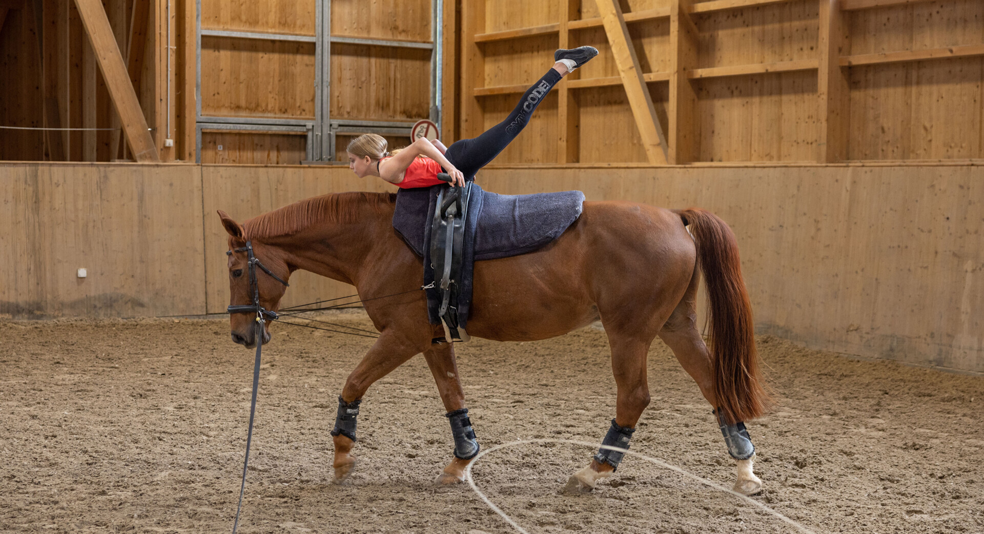 Volteggio – Forme di allenamento per le forme caratteristiche: Sfruttare l’impulso e il ritmo del cavallo per ottenere movimenti fluidi e naturali