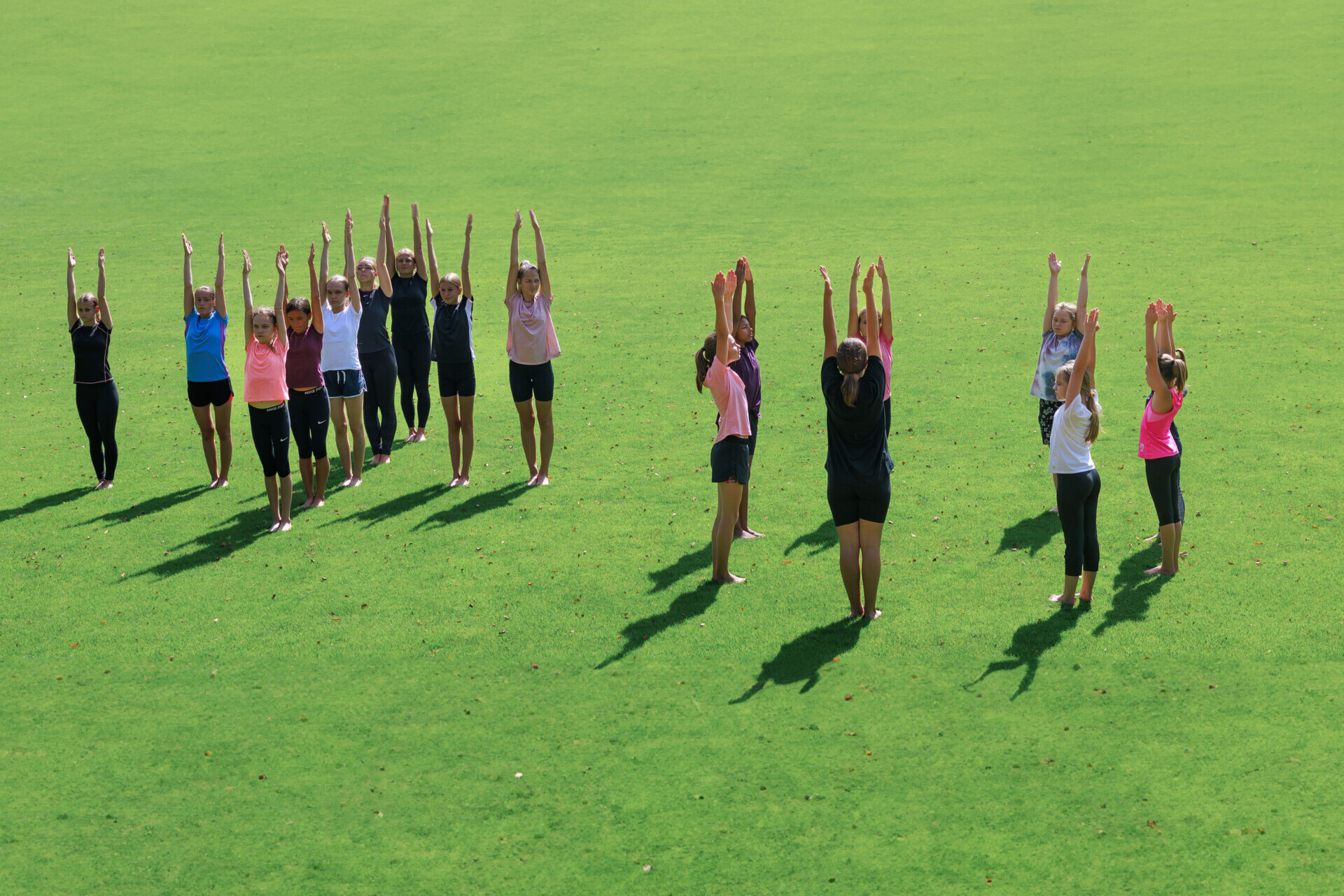 Image selon la forme d'entraînement