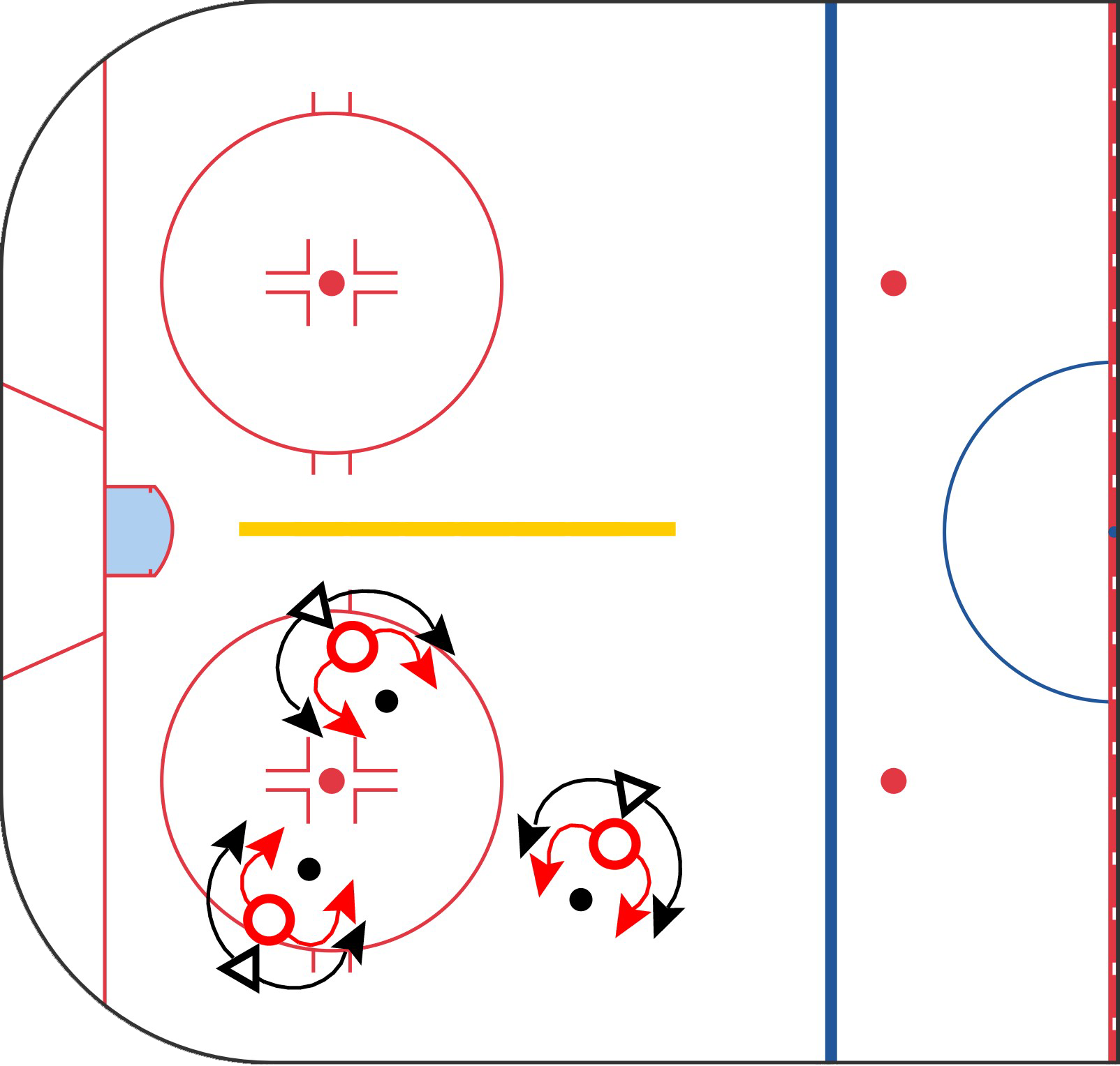 Puck Protection