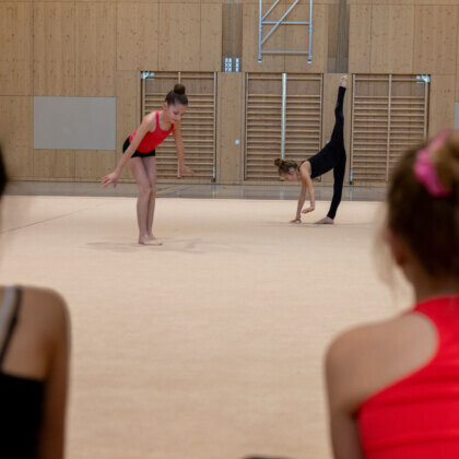 Rhythmische Gymnastik – Trainingsformen zu den Erscheinungsformen: Choreografien selbstbewusst und mit Freude präsentieren – Zeig mir deine Choreo!