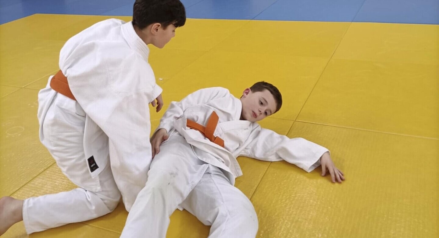 Judo Aus unterschiedlichen Positionen heraus und in alle Richtungen — free download