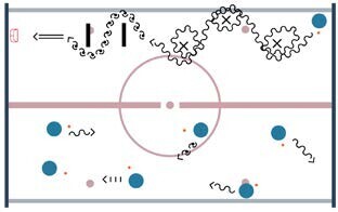 Street-hockey – Formes d’entraînement: Jeu avec balle / Attaque – Conduire la balle de manière variée et adaptée à la situation de jeu: Chasse aux balles