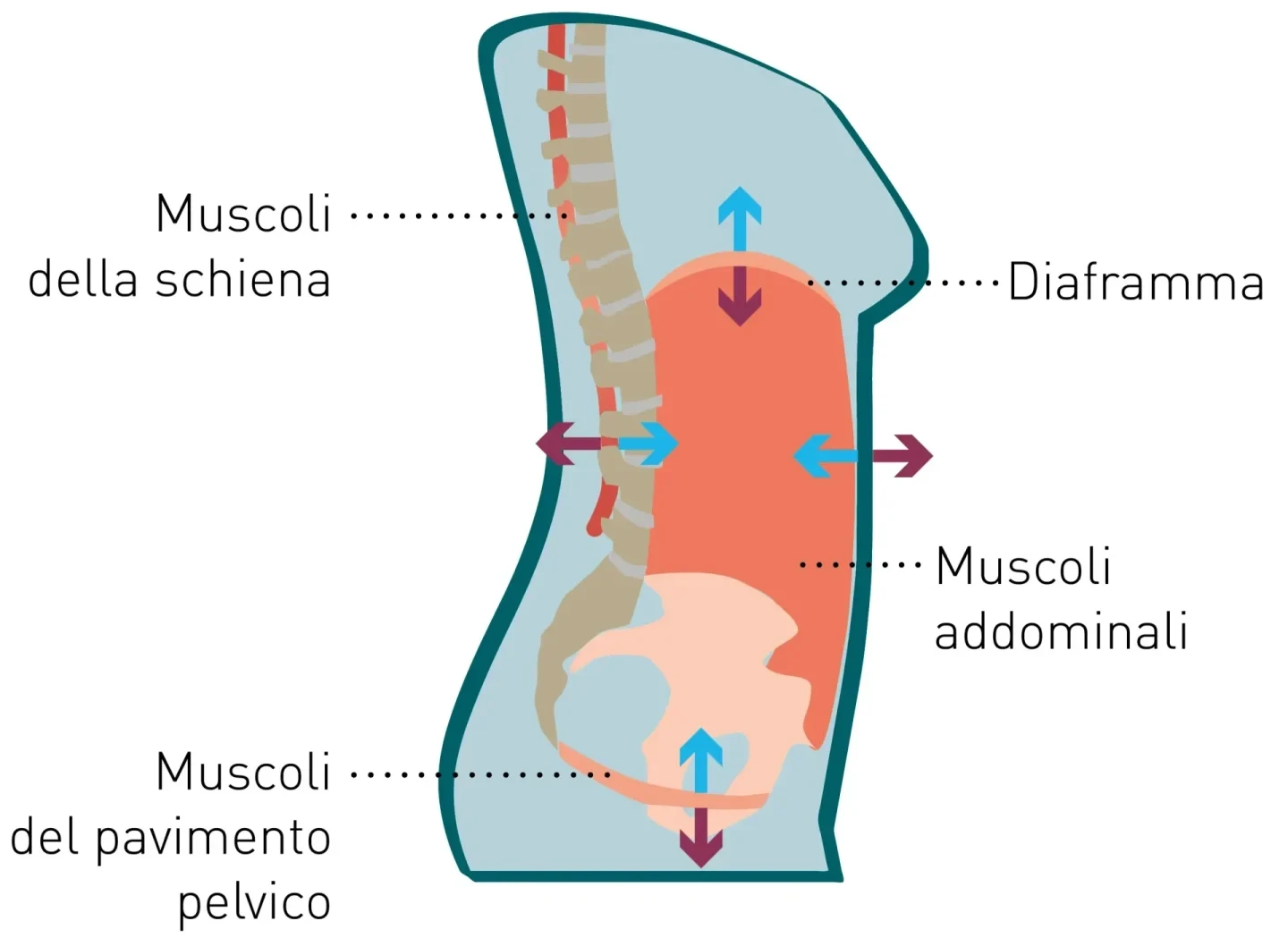 Respirare in modo corretto