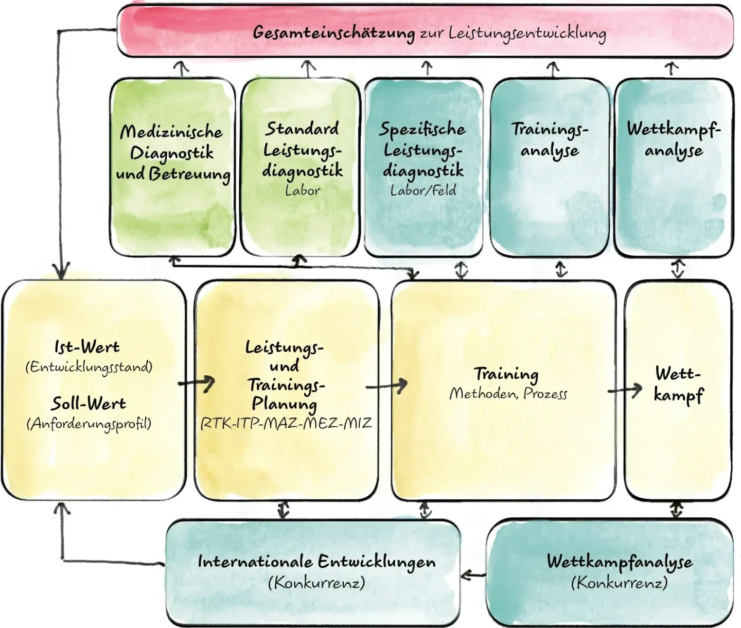 Abb: Der Regelkreis der Trainingssteuerung (Fuchslocher & Bürgi, 2007)