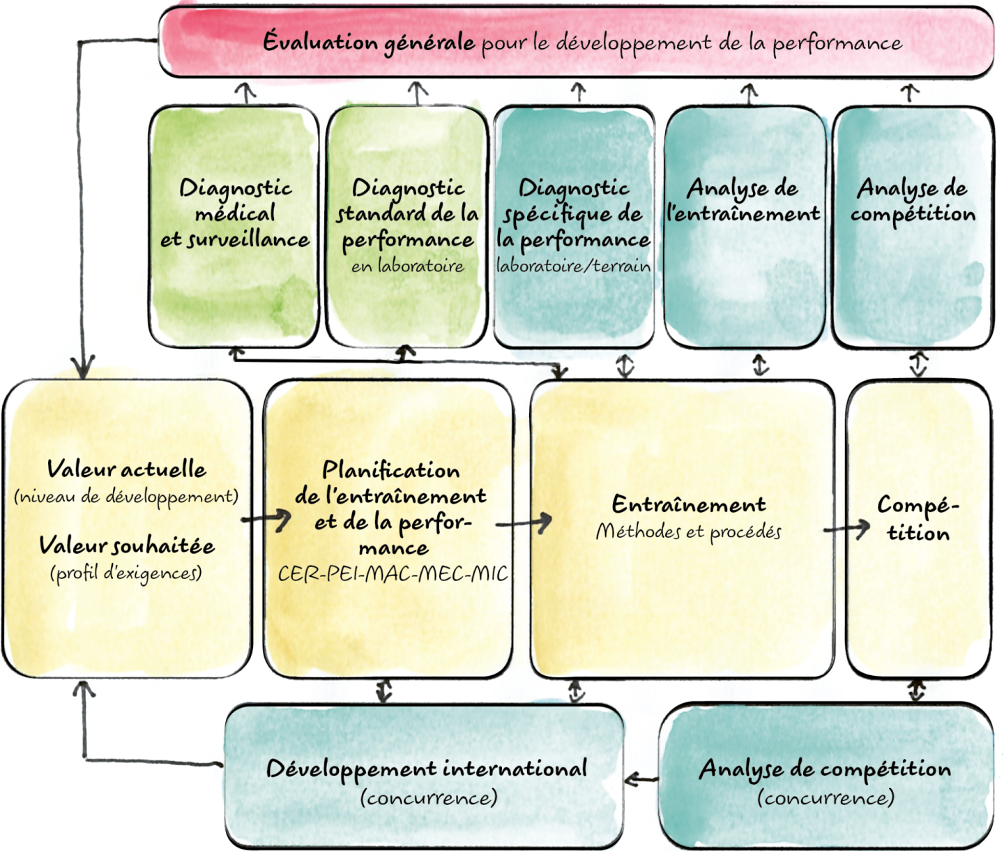 Ill. 1: La boucle logique de la gestion de l’entraînement (Fuchslocher & Bürgi, 2007)
