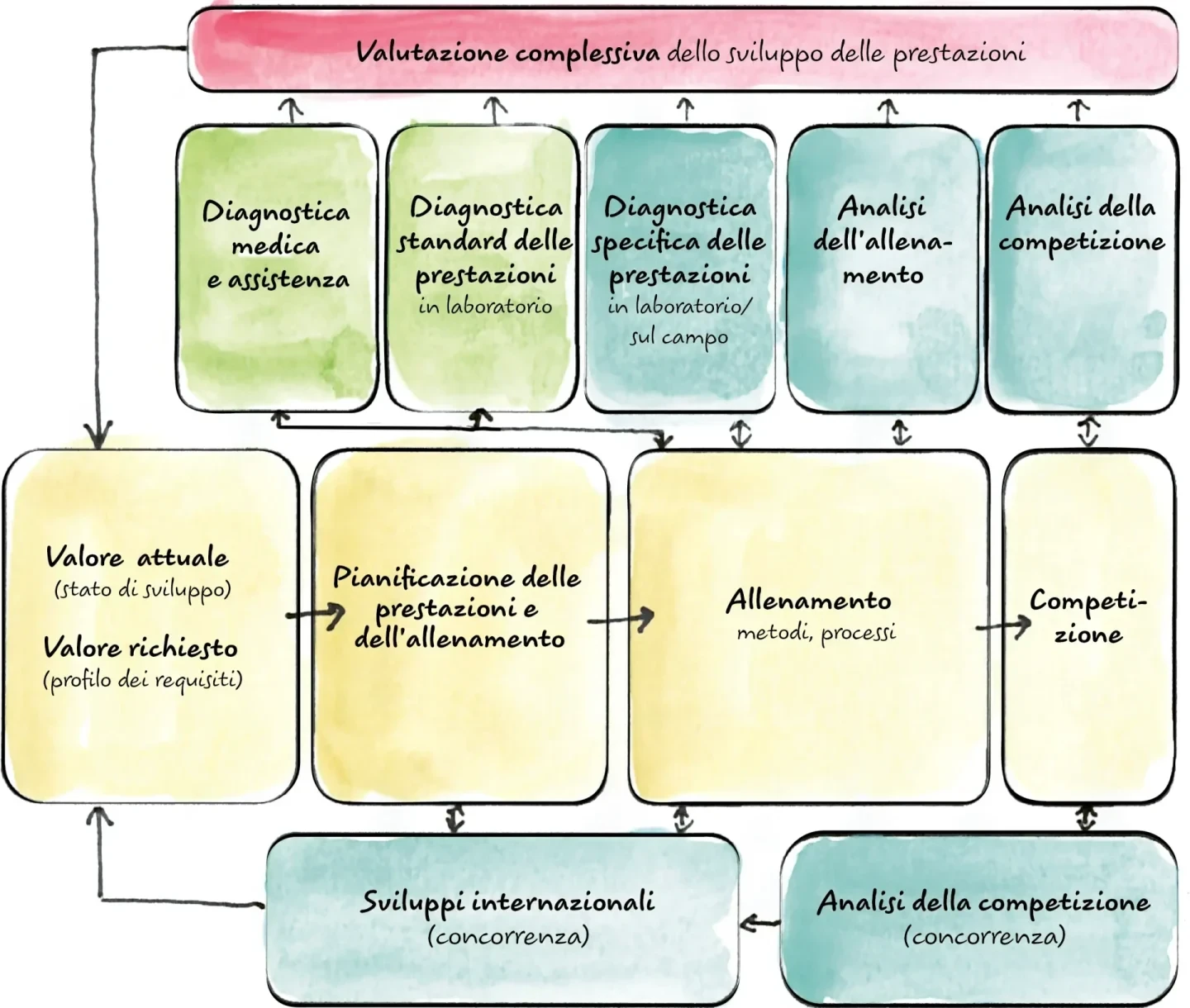 Grafico: Il circuito di controllo dell’allenamento (Fuchslocher & Bürgi, 2007)