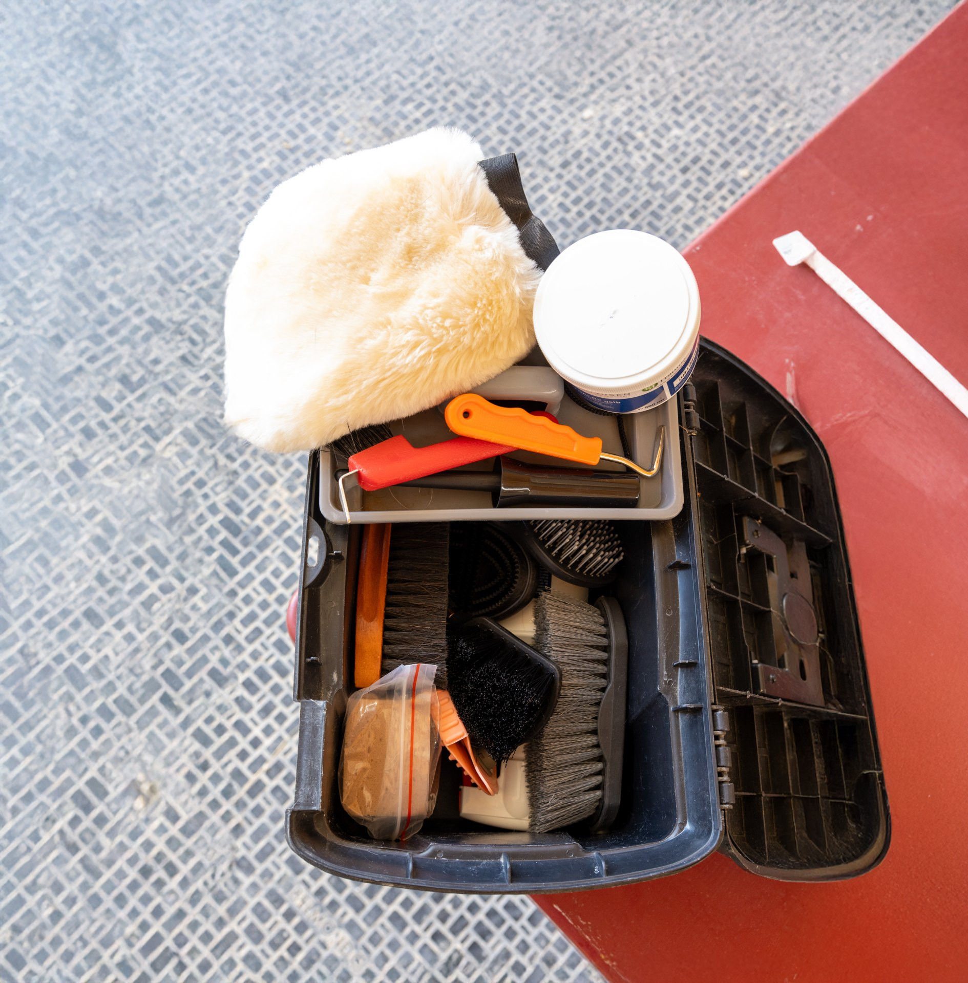 Équitation – 2. Détenir le cheval conformément à ses besoins et en assumer la co-responsabilité: Bien-être pour les chevaux (dès F1)