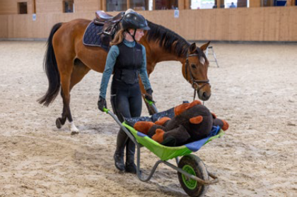 Allestisci un percorso di abilità con otto stazioni. Nelle diverse stazioni si devono lanciare, trasportare, tenere in equilibrio o scambiare diversi oggetti come palline, anelli, sacchetti di riso e cucchiai. I partecipanti eseguono il percorso prima a piedi, poi a cavallo con o senza sella. Per l’esercizio sono a disposizione tre o quattro cavalli o pony. Chi ha già esperienza in sella aiuta come accompagnatore o assistente nelle diverse stazioni.
