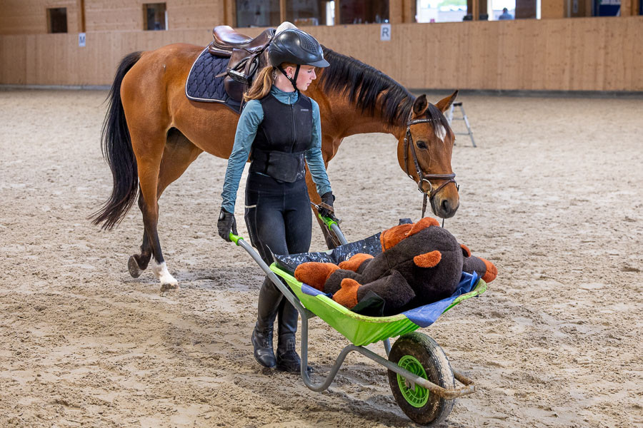 Un parcours composé de huit postes est installé. Il consiste à lancer, à porter, à tenir en équilibre ou à échanger différents objets tels que des balles, des anneaux, des sachets de riz ou des couverts à salade. Les participants effectuent d’abord le parcours à pied, puis sur le cheval ou le poney (avec ou sans selle).

L’activité se déroule avec trois à quatre chevaux ou poneys. Les personnes qui ont déjà effectué le parcours font ensuite office de guides et aident aux différents postes.Es sind drei bis vier Pferde oder Ponys im Einsatz. Wer schon geritten hat, ist als Führperson und Helfer an den Stationen im Einsatz.