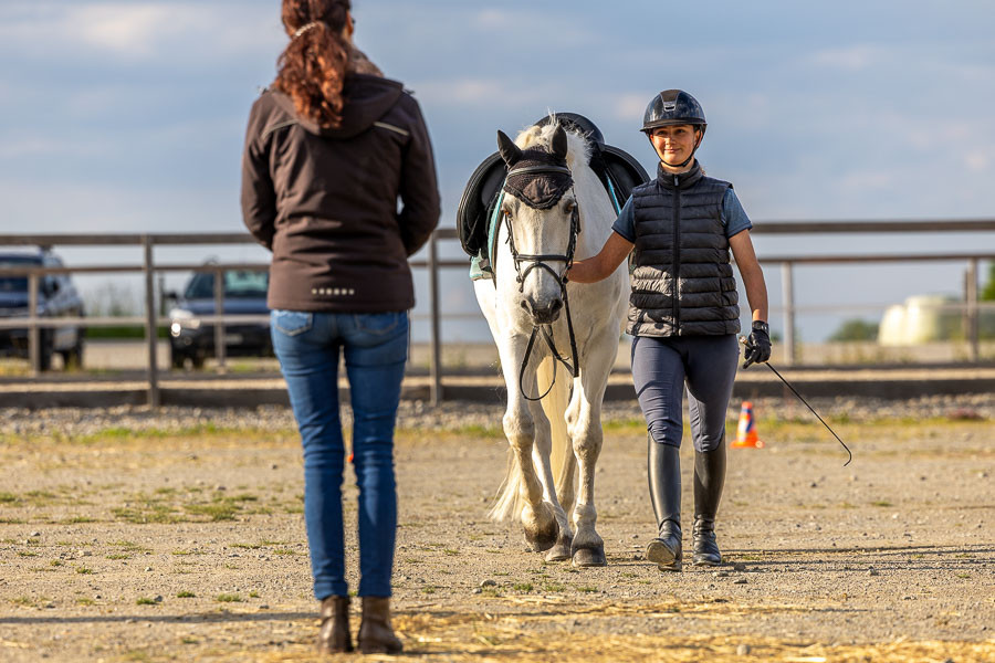 Le cavalier ou la cavalière place son cheval (en bride) devant l’expert-e. Il ou elle salue l’expert-e, se présente et présente son cheval en indiquant, dans l’ordre, son sexe, la couleur de sa robe, son âge et sa race. Au signal, le cavalier ou la cavalière part au pas puis passe au trot au niveau des seconds cônes. Le trot s’effectue rênes détendues, avec une distance de sécurité et un langage corporel clair. Avant le dernier cône, le cavalier ou la cavalière repasse au pas, tourne à droite et repart au trot jusqu’aux cônes. Enfin, il ou elle repasse au pas et s’arrête à nouveau devant l’expert-e.