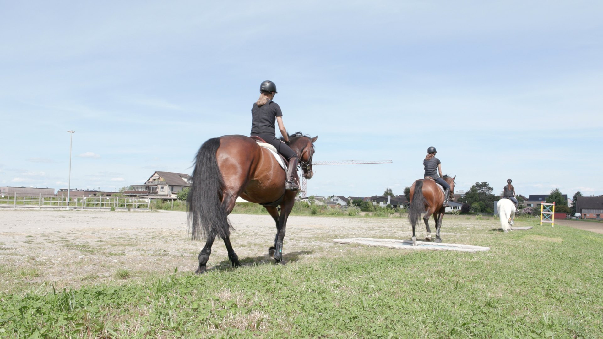 Équitation – 4. Accompagner avec souplesse les mouvements du cheval: Écouter, voir et sentir la cadence (dès F2)