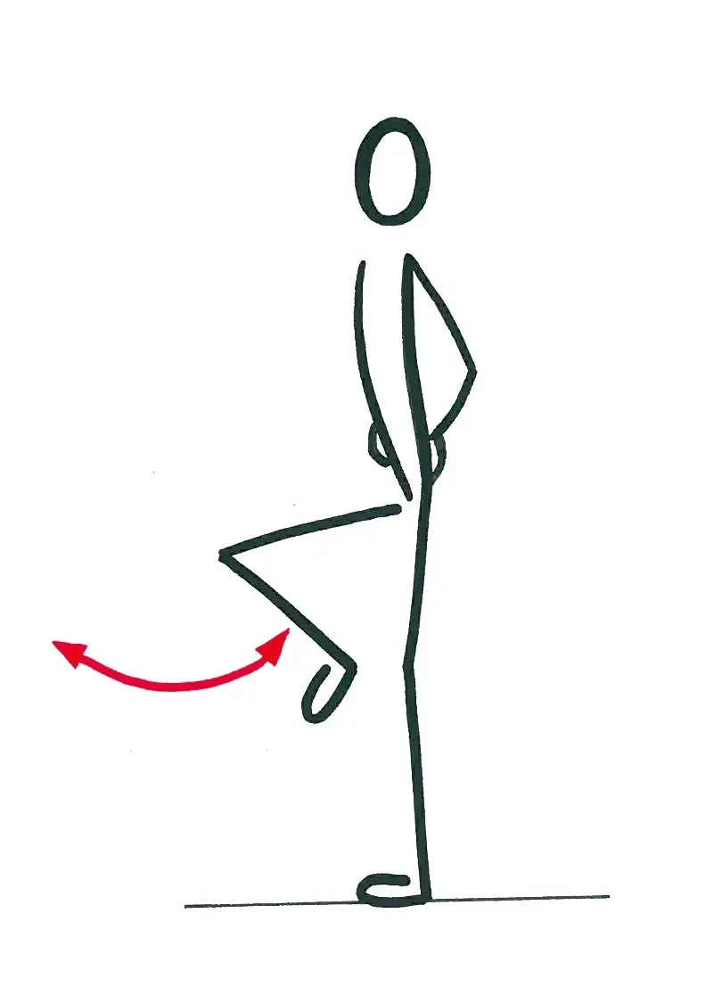 Knie