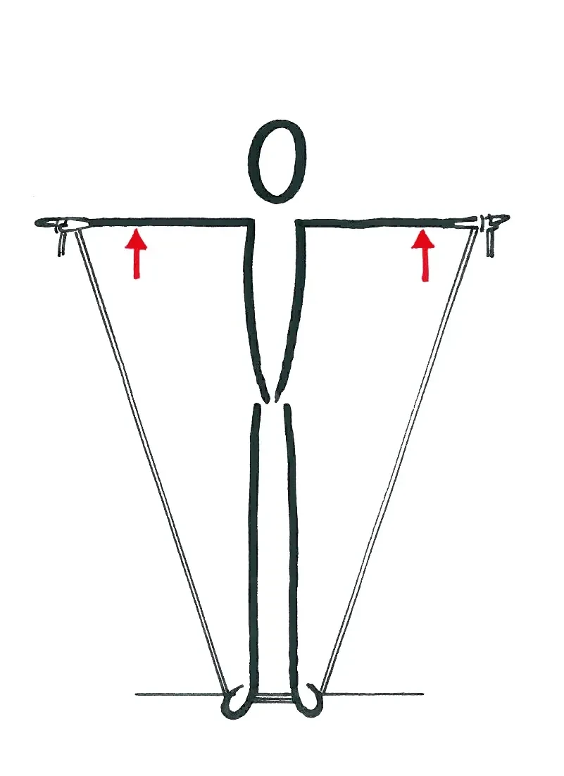 Schultermuskulatur