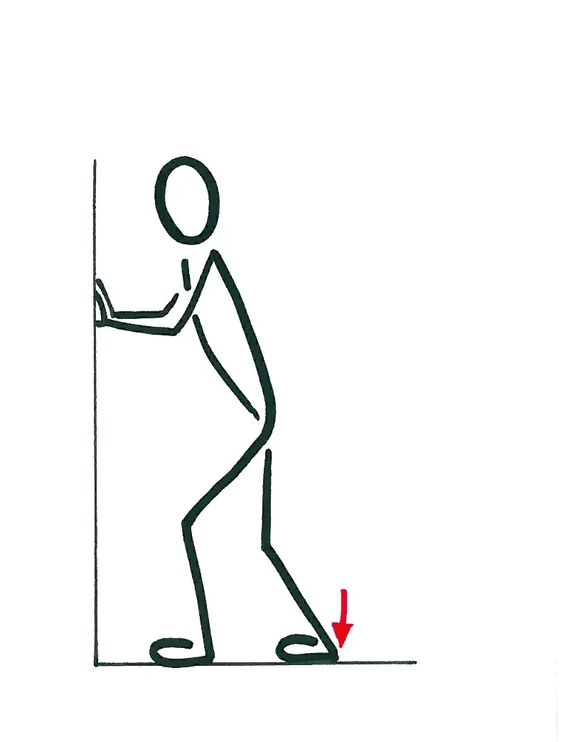 Hintere Oberschenkelmuskulatur (Hamstrings)